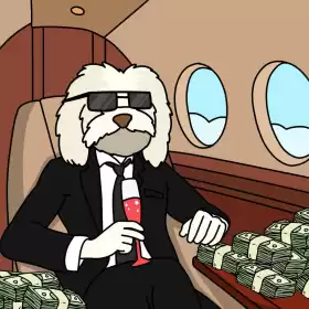 Uni | Sui Founders Dog