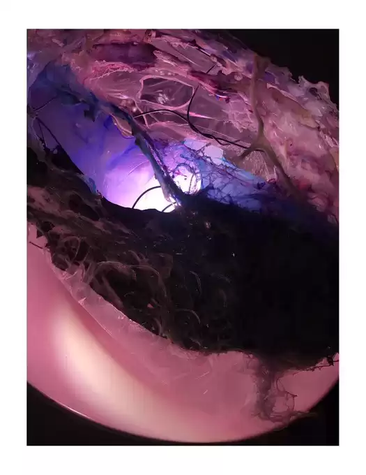 SoulFlux