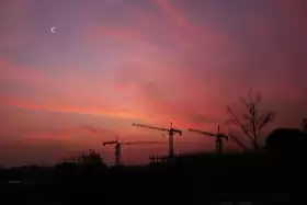 ɴᴜꜱʜ