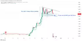IncomeSharks