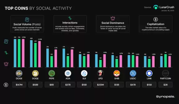 Synopsis Data