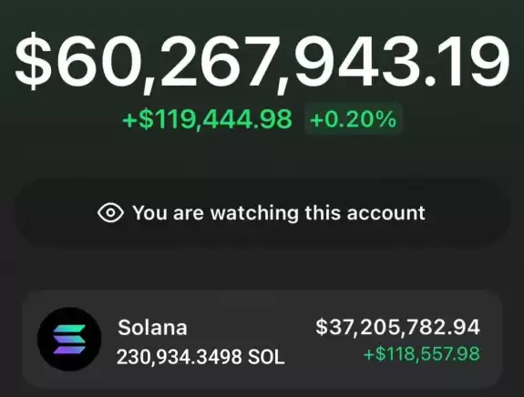 Whale BTC