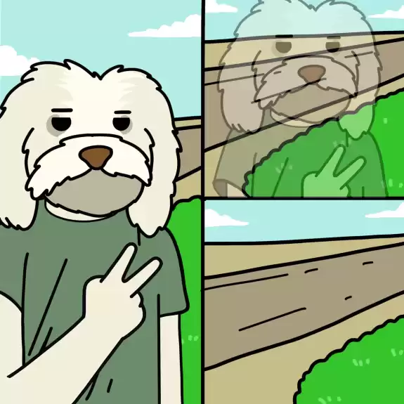 Uni | Sui Founders Dog