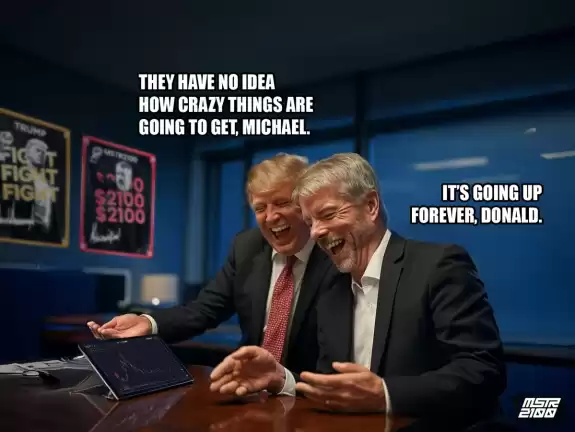 MSTR2100 Parody