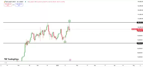 Bitbull
