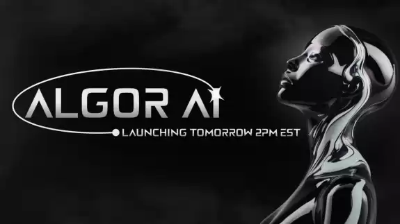 Algor AI