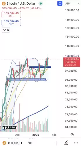 Cheds Trading