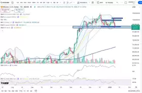 Cheds Trading