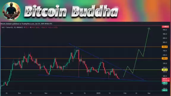 Bitcoin Buddha
