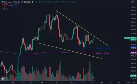 Daan Crypto Trades
