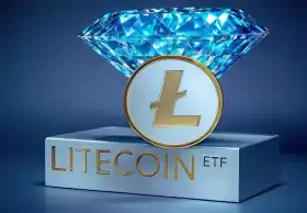 ALLDEX