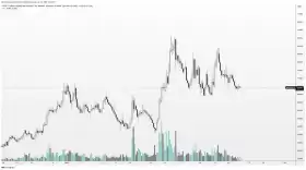 Altcoin Sherpa