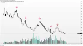 Altcoin Sherpa