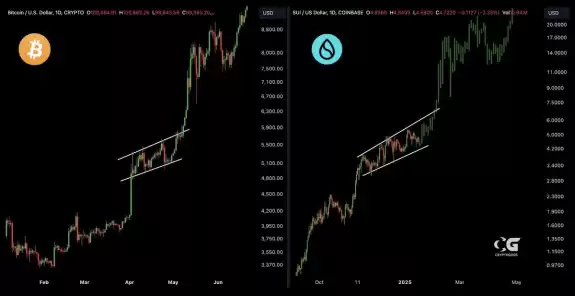 Mister Crypto