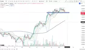 Cheds Trading