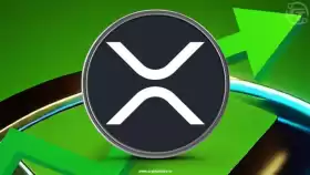 EDO FARINA 🅧 XRP
