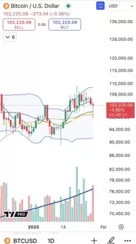 Cheds Trading