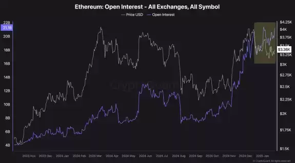 Crypto Rover
