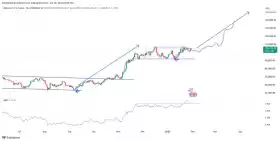 IncomeSharks