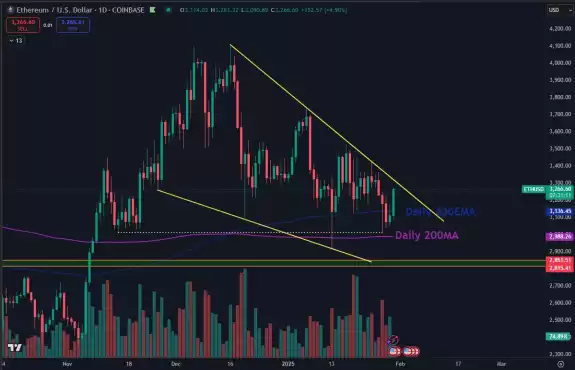 Daan Crypto Trades