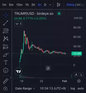 CryptoBaby(∩｡•ω•｡)⊃🪄