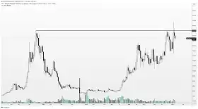 Altcoin Sherpa