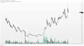 Altcoin Sherpa