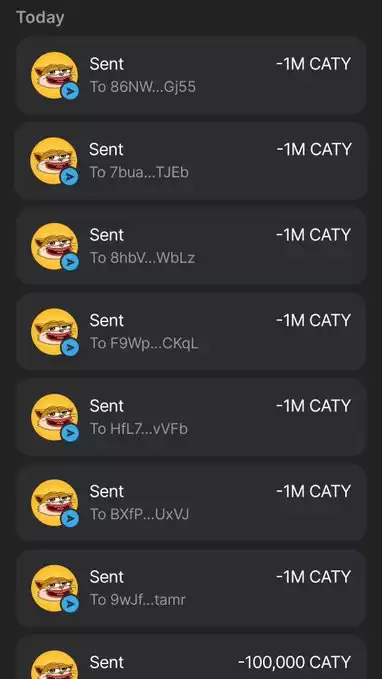 CATY🐱