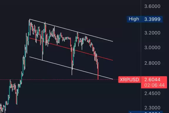 XRP whale