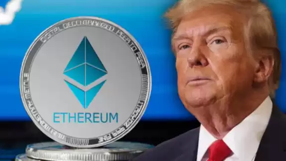 Altcoin Daily