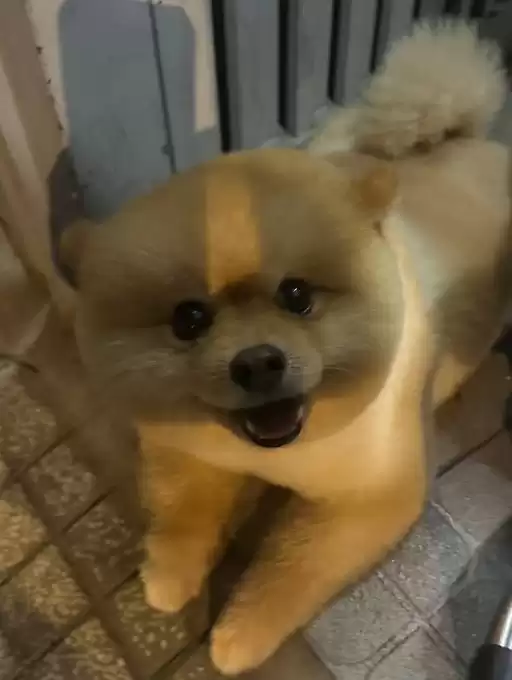 MM