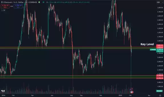 Daan Crypto Trades