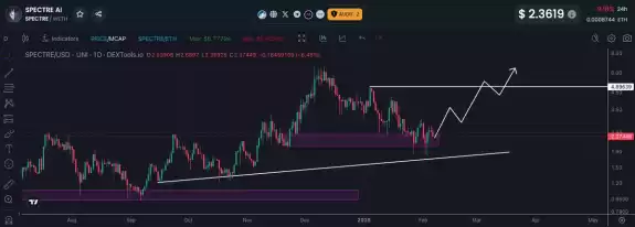 Crypto Fella