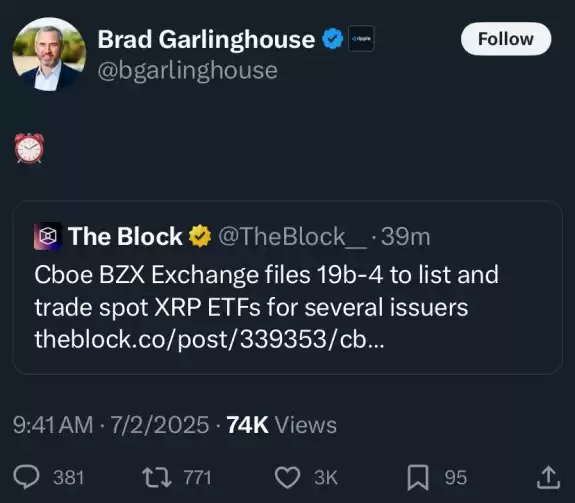 Random Crypto Pal
