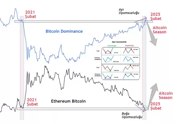 Cryptosahintas