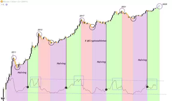 Cryptosahintas