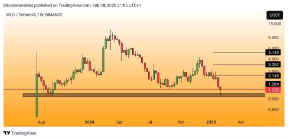 Bitcoin Meraklısı