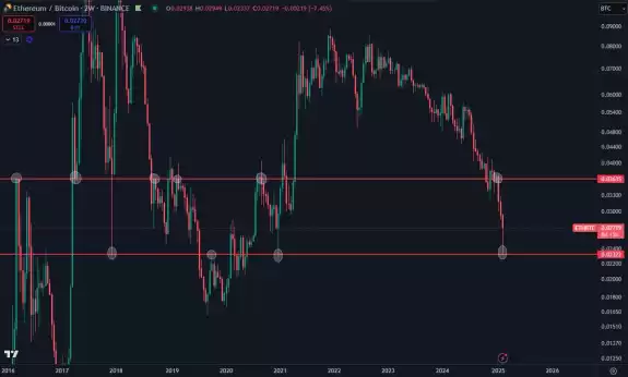 Daan Crypto Trades