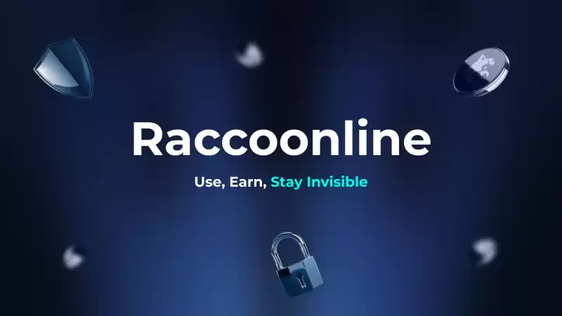 raccoonline devpn : Web3 및 분산 된 개인 정보를 입력하는 간단한 방법