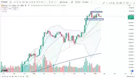 Cheds Trading