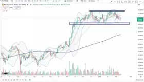 Cheds Trading