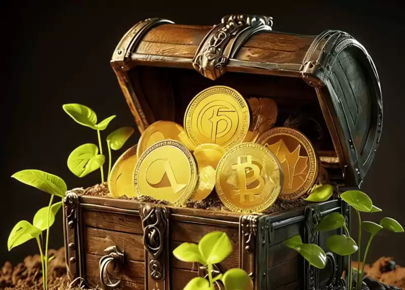 长期购买和持有的最好的4个 长期购买和持有的最好的4个