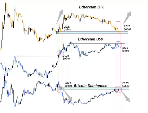 Cryptosahintas