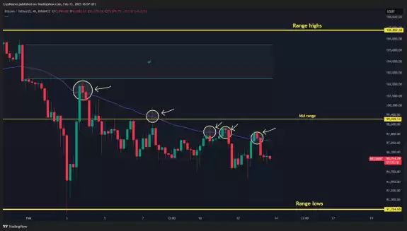 CrypNuevo🔨