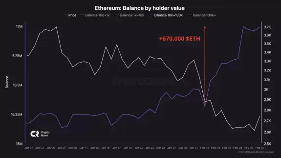 Crypto Rover