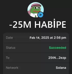 Mr. Crypto Whale🐋