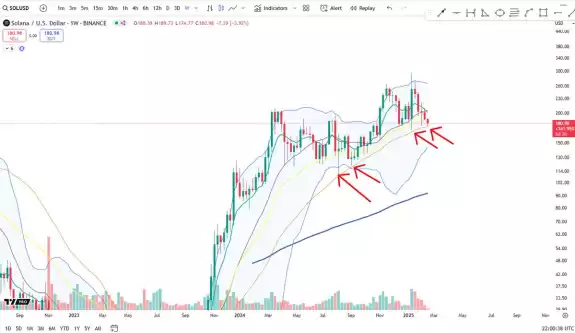 Cheds Trading