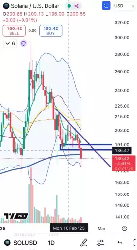 Cheds Trading