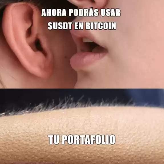 Balo Investor