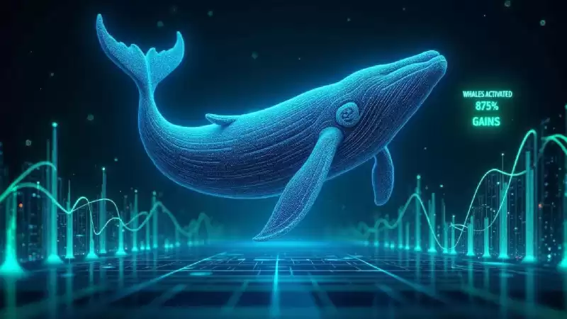 Next Crypto To Explode: 5 Picks to Watch Out for in 2025